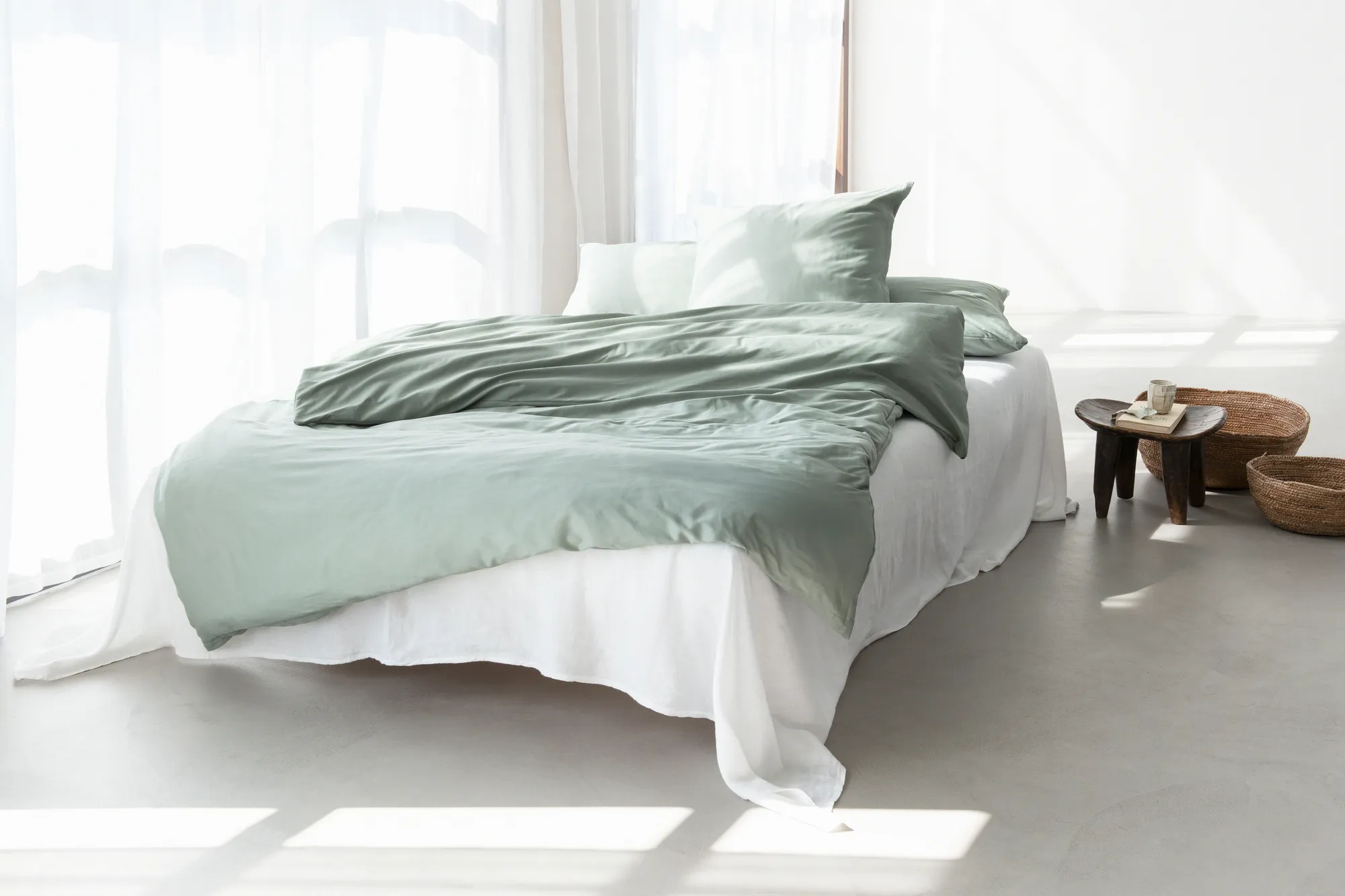 Braga eucalyptus – Bild 2